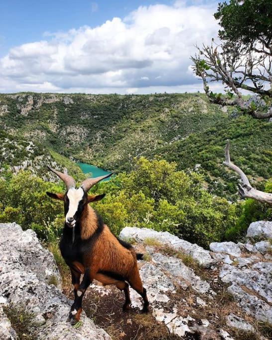 Elegant & Moderne - Entre Lavande Et Gorges Du Verdon *